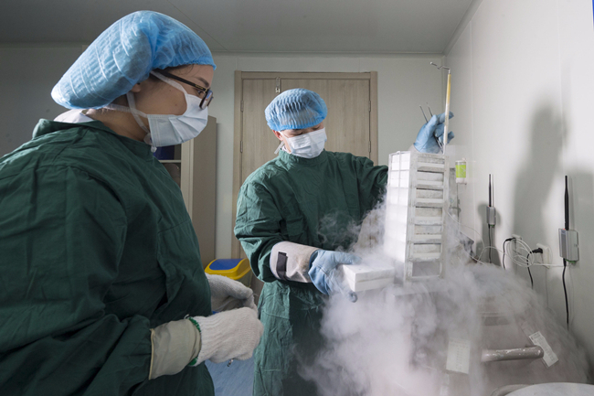 这类男人跑精子银行最多，浙江省人类精子库呼吁重视男性生育力保护
